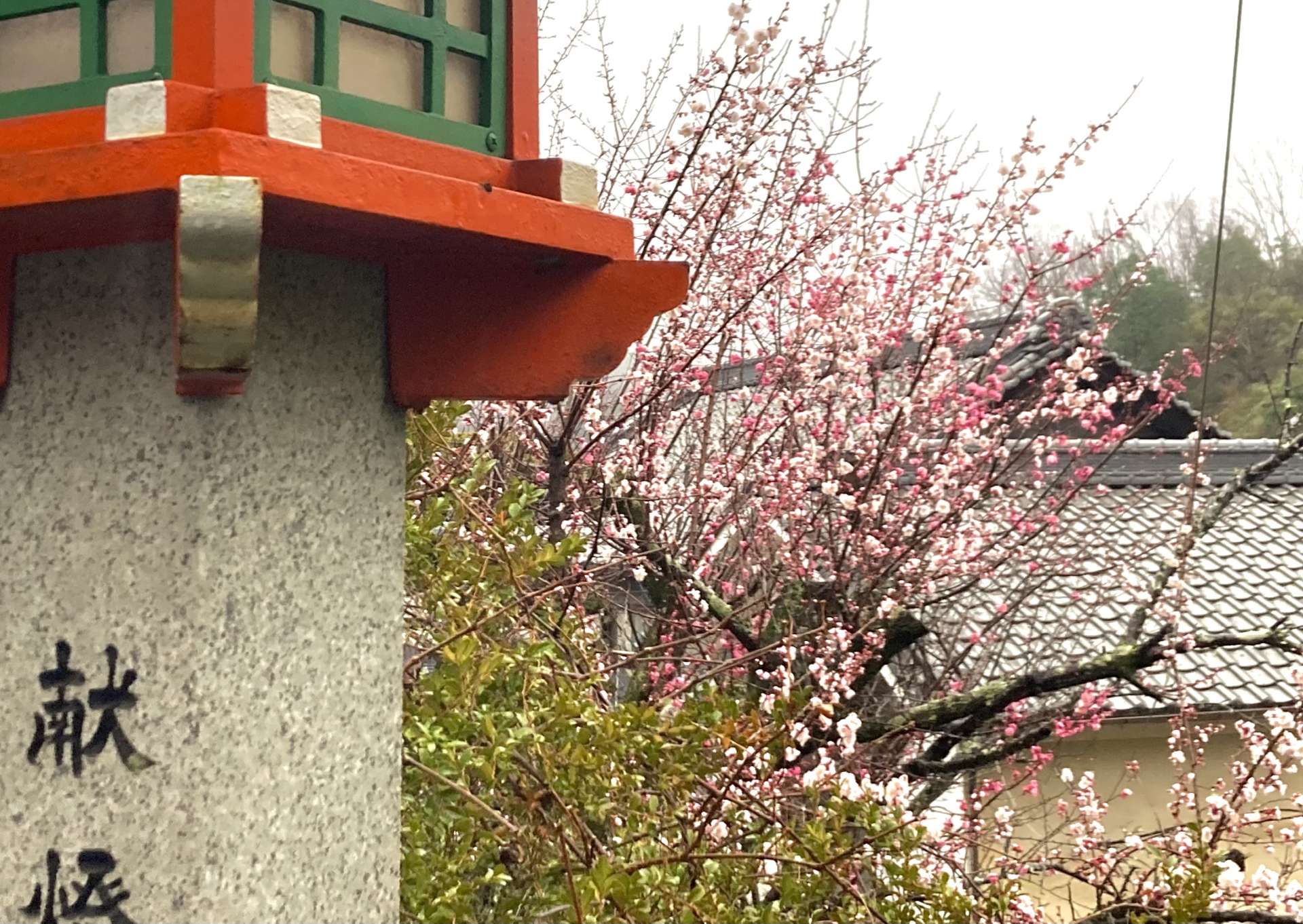 いつか きっと。