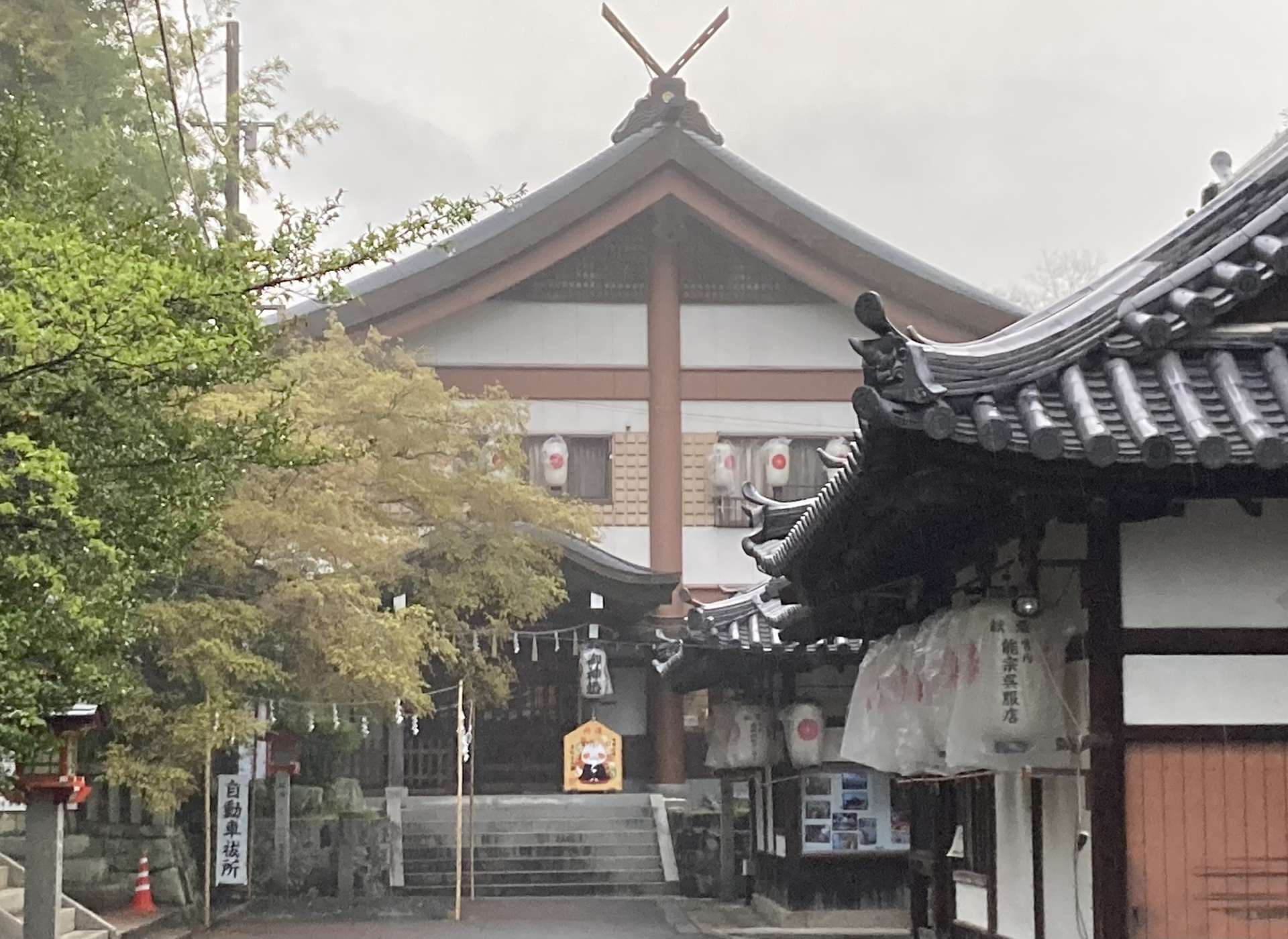 水溶性食物繊維。