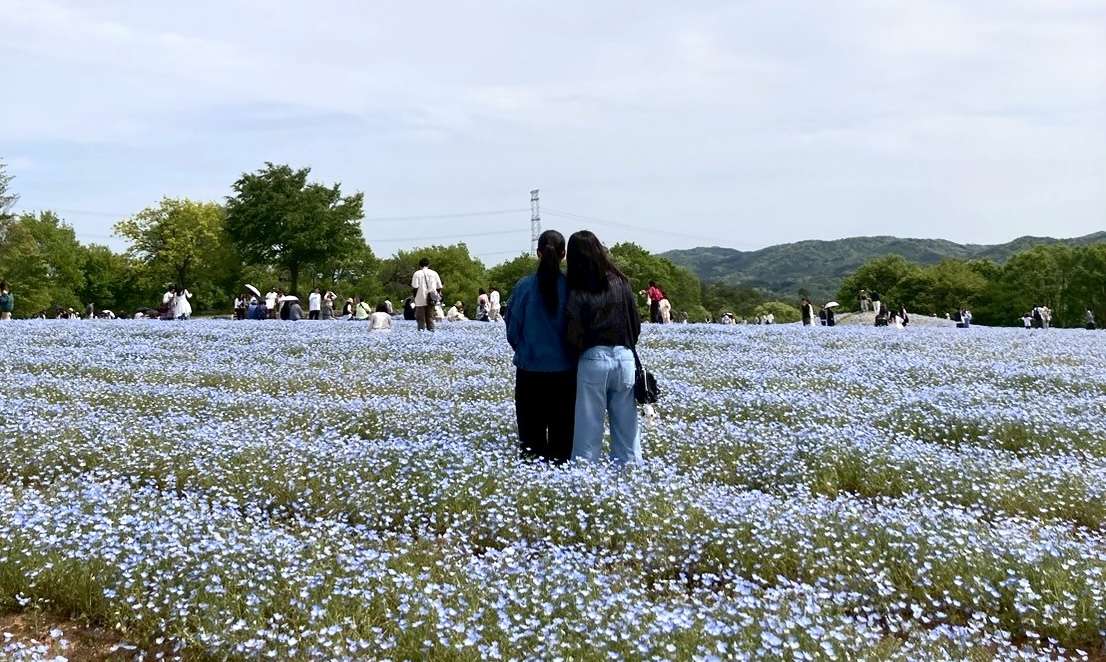 ちあきなおみ。