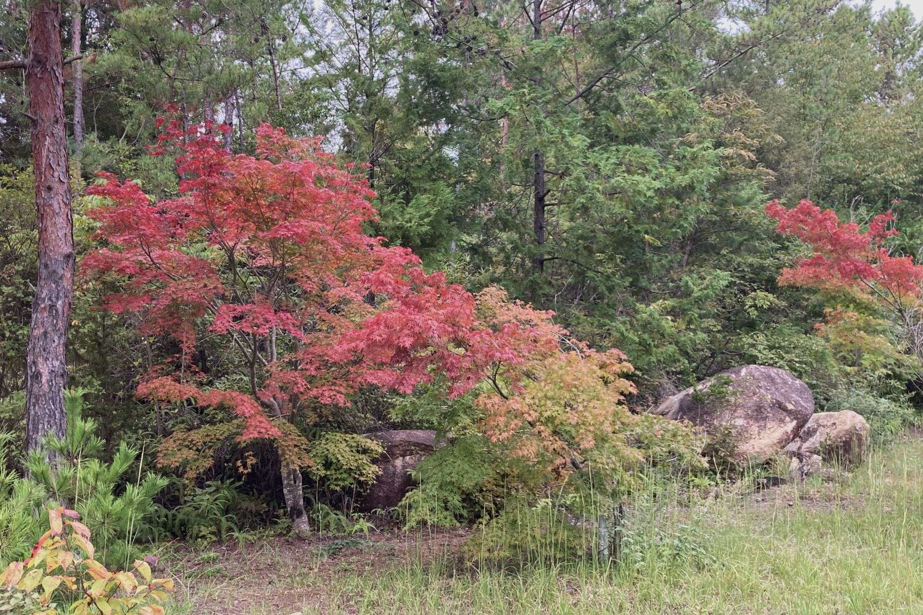 人生を楽しむ。