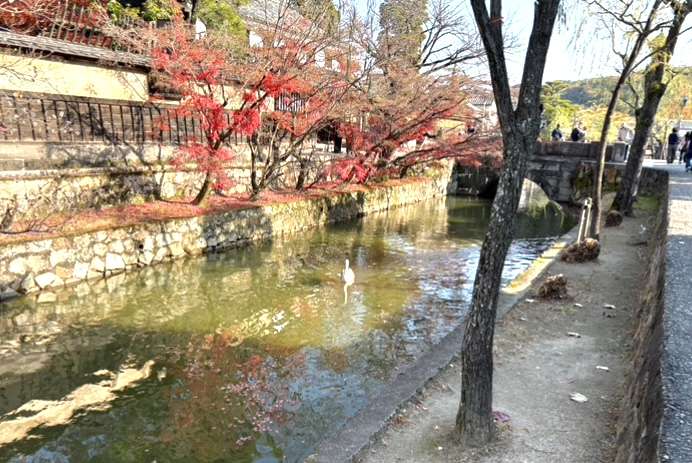 心筋梗塞のつづき。