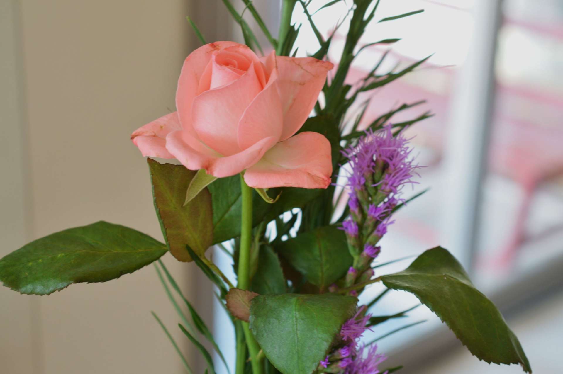 ルイボスティー。